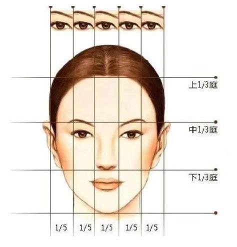 目字面|面相入门丨三庭五眼，六种脸型，你知道自己是哪一种吗？